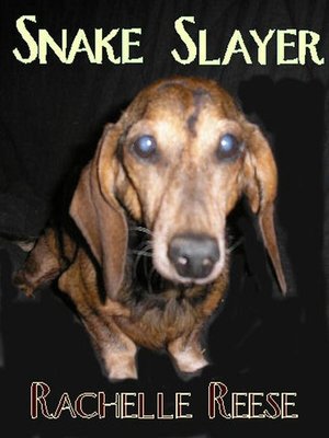 cover image of Snake Slayer